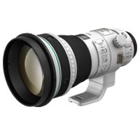 Canon EF 400mm f/4 DO IS II USM